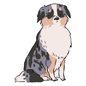A sitting shepherd dog