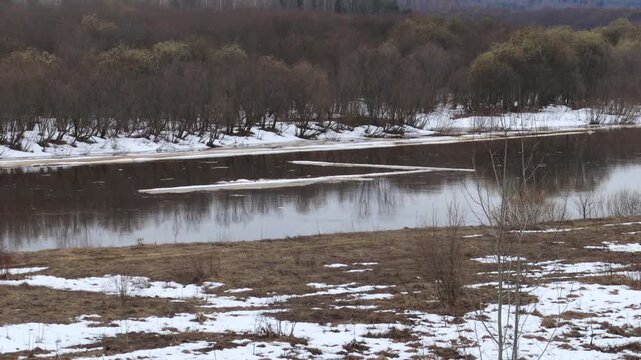 Large ice floes float down a river in a forest in northeastern Europe in early April