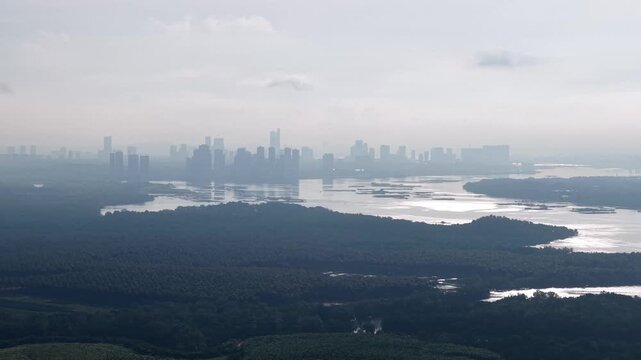 Aerial silhouette view of oil palm trees at Iskandar Puteri under cloudy skies.