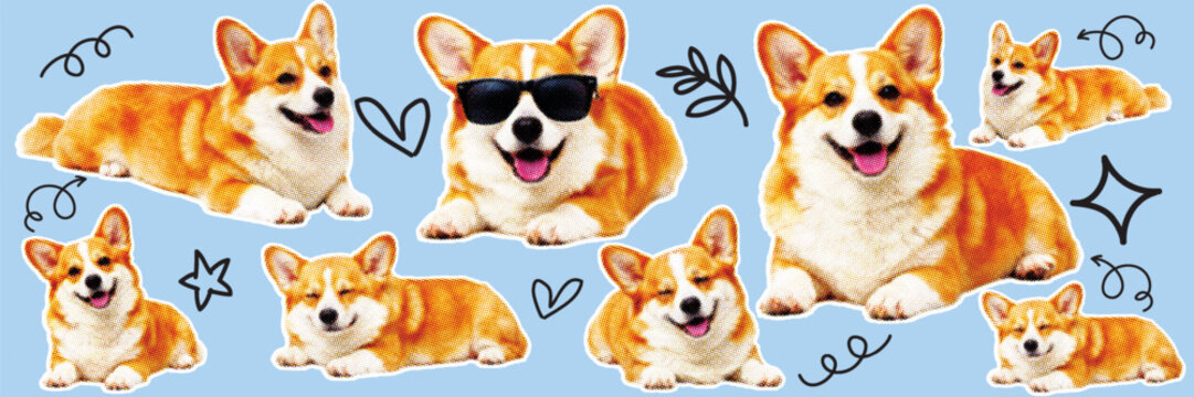 Halftone pop art dot dog corgi pet animal pose sitting lying sunglasses cute face tongue vector illustration