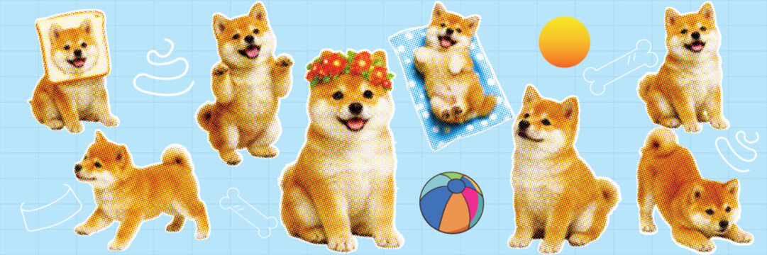 Halftone pop art dot dog corgi pet animal towel flower headband ball bone food cute vector illustration