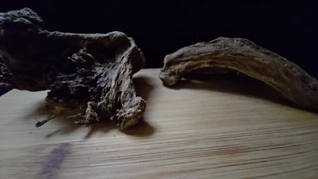 Macro shot of raw Indian Costus roots (Saussurea costus) on a wooden surface. High-quality footage showcasing the natural, dried woody texture of this ancient medicinal herb.