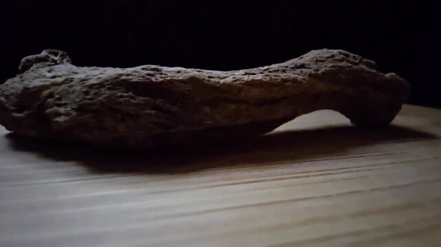 Macro shot of raw Indian Costus roots (Saussurea costus) on a wooden surface. High-quality footage showcasing the natural, dried woody texture of this ancient medicinal herb.