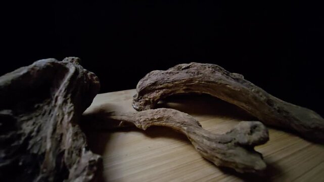 Macro shot of raw Indian Costus roots (Saussurea costus) on a wooden surface. High-quality footage showcasing the natural, dried woody texture of this ancient medicinal herb.