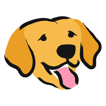 Yellow labrador dog tongue out