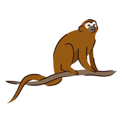 Brown monkey sitting on a branch © Vexels
