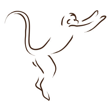 Silhouette of a monkey jumping