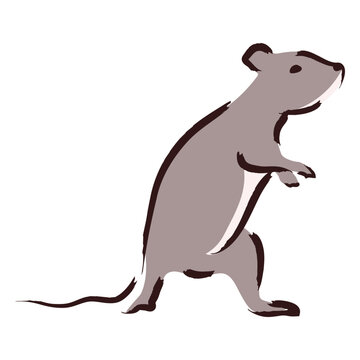 Gray rat standing on its legs