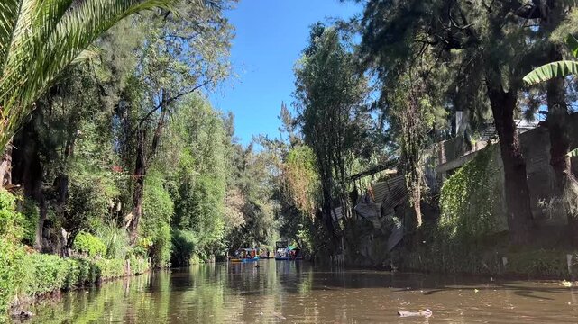 Paseo en trajinera en canales de Xochimilco, Ciudad de M&eacute;xico, destino tur&iacute;stico tradicional.