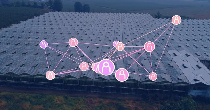 Network overlay appearing over greenhouse roof, avatars pulsing and linking to optimize crop data