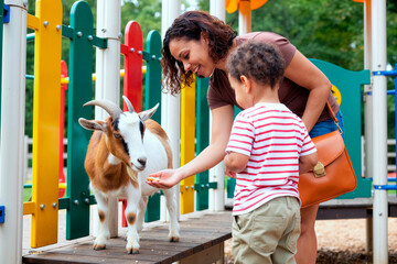 Young mother feeding goat while toddler watching at playground petting area, showing family leisure and child learning. Useful for parenting, childcare, community activity campaigns