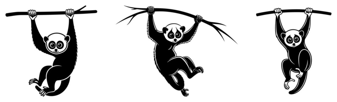 Slow loris primates hanging from branches in tropical jungle silhouette