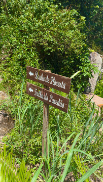 Placas e avisos de madeira