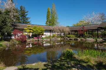 Naklejka premium Paysage paisible et ambiance zen au jardin japonais de l'île de Versailles à Nantes
