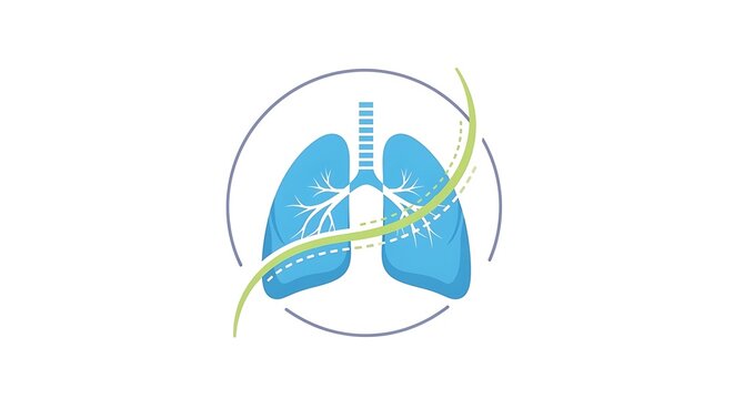Lung anatomy illustration with trachea and bronchi, breathing exercise concept