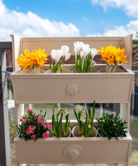 Decorative balcony planter with blooming spring flowers in pots, including white crocuses and yellow blossoms, arranged on a stylish two-tier stand. 
