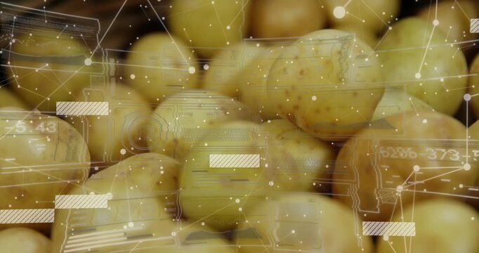 Camera gliding over yellow potato crate, causing data overlays showing quality for marketing