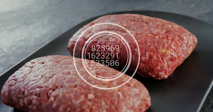 Raw meat patties sitting black tray, HUD fading in, rings rotating, digits cycling, checking food