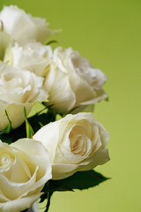 Angled close up of white roses with soft green background and shallow depth