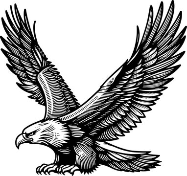 Detailed bird of prey sketch design for apparel