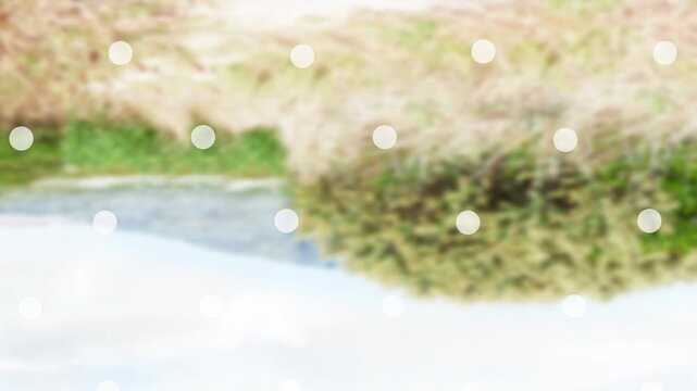 Animation of circular snow falling against christmas trees in pine woodland