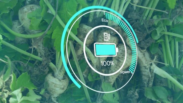 Semi-transparent Eco Power gauge appearing over sunlit garden roots rising and falling charge level