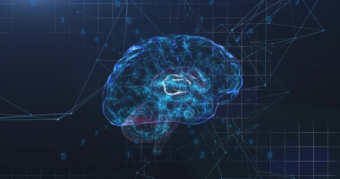 Floating digital wireframe brain hologram pulsing with glowing neural nodes on virtual grid plane