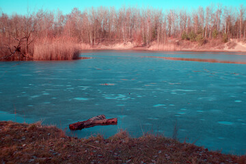Natura - wiosna © Kajetan