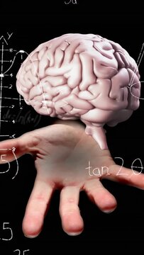 Vertical video: Palm entering, 3D brain hovering and rotating, chalk math sliding to show learning