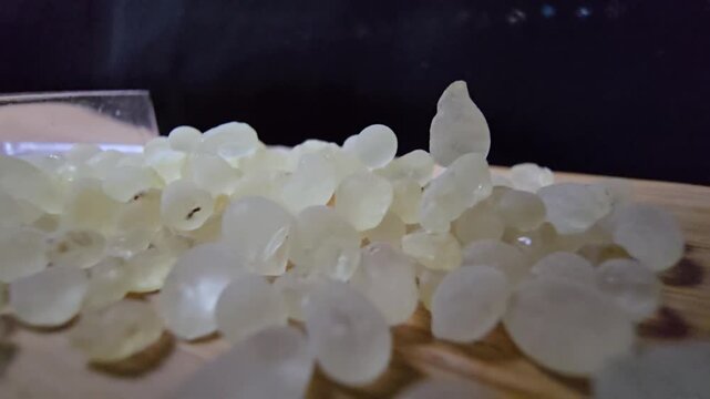 Macro shot of premium Mastic gum (Pistacia lentiscus) tears on a wooden surface. High-quality footage showcasing the translucent, pale yellow resin used in medicine and cooking.