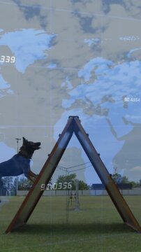 Vertical video: Working dog entering left climbing Aframe down for agility with map coords shown