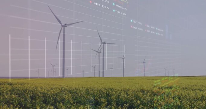 Vertical video: Animating overlay appearing from right across turbines and canola, tracking output