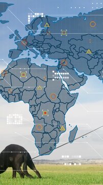 Vertical video: Map overlay fading in, pulsing HUD icons over Africa as mammal grazing for tracking
