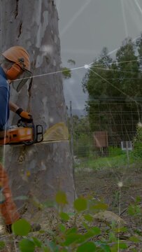 Vertical video: After bracing saw, arborist continuing to cut trunk across to clear power lines