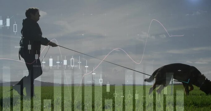 Vertical video: Woman walking dog in field pulling, holding control with finance charts overlaying