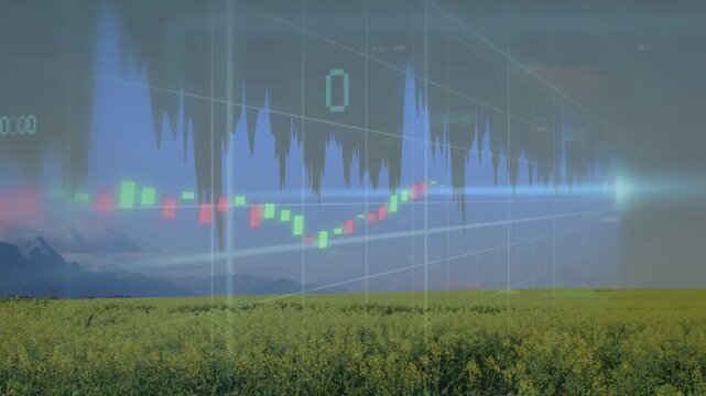 Financial overlay fading in over field, scrolling bars and histogram visualizing market trends
