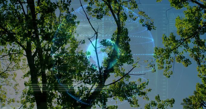 Holographic sphere fading in behind tree canopy, rotating and scanning foliage with technology HUD