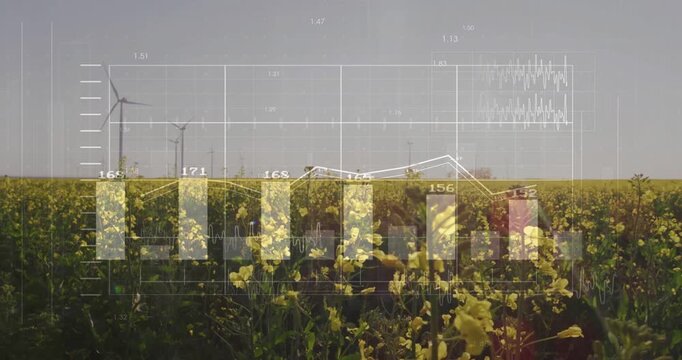 Clear data overlay fading over canola field, animating bars with peaks shifting right for farm use