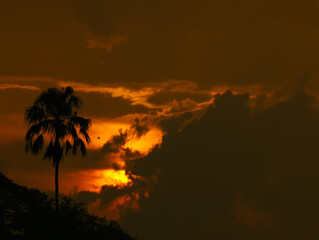 Fototapeta premium sunset in the mountains