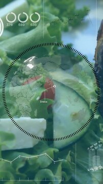 Vertical video: Camera panning, HUD fading, reticle tracking salad and grilled meat, showing menu