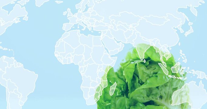 Lettuce emerging as frames progress, growing over map borders with water drops, showing food growth