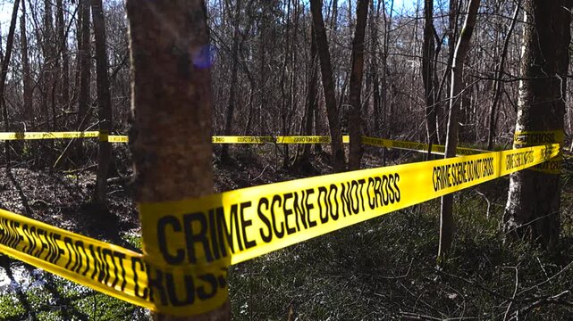 Yellow crime scene tape wrapped around a tree in a desolate forest, cordoning off an area for a police investigation on a sunny day. A sinister and mysterious atmosphere of murder