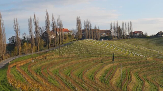 Scenic vineyard landscape near Jamnik Slovenia with rolling hills and autumn colors
