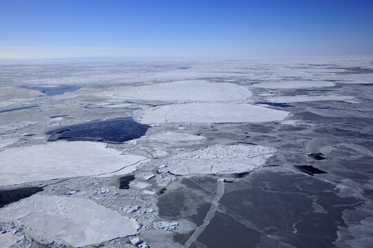 Aerial view, pack ice, Magdalen Islands, Gulf of Saint Lawrence, Quebec, Canada