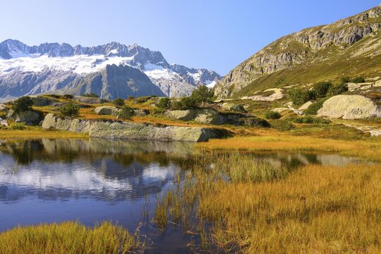 Dammastock and Damma Glacier reflected in swamp lake, G&ouml;scheneralp, Canton Uri, Switzerland