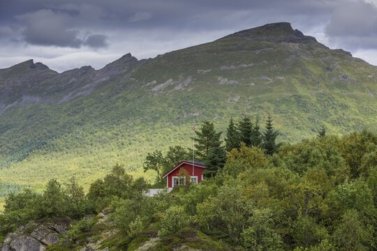 Holiday cottage with a small forest near Eidsfjord, Lang&oslash;ya, Vesteralen, Nordland, Norway
