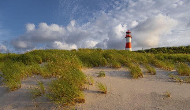 Evening light, red-white lighthouse List-East in the dunes, cloudy sky, elbow, Sylt, North Frisian Island, North Sea, North Frisia, Schleswig-Holstein, Germany