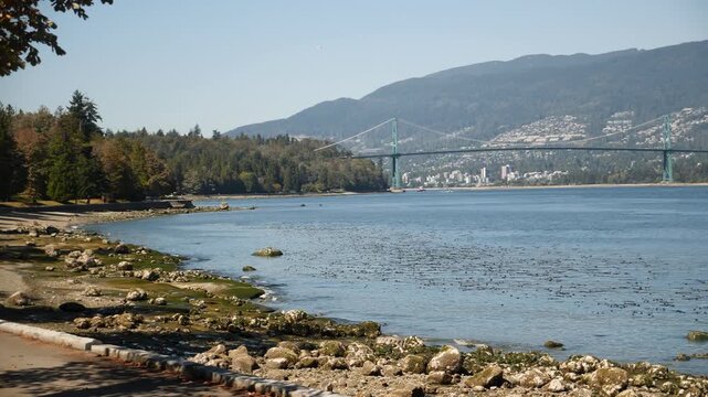 View from Stanley Park, Lions Gate Bridge, Canada. High quality 4k footage