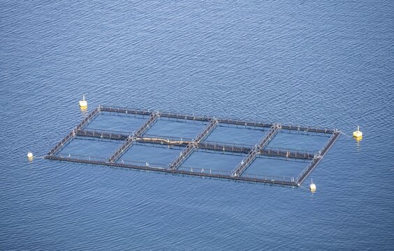 Aquaculture, fish farm in a fjord, Nordland, Norway