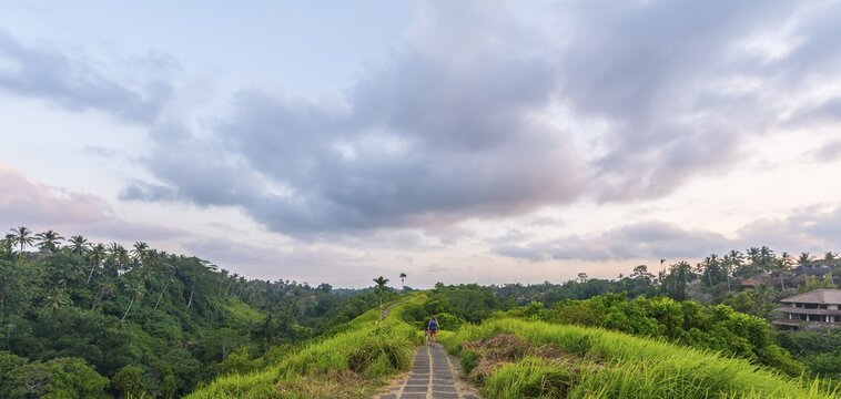 Paved path through tropical vegetation, Campuhan Ridge Walk, Bukit Campuhan, Tjampuhan's Holy Hills, Ubud, Bali, Indonesia